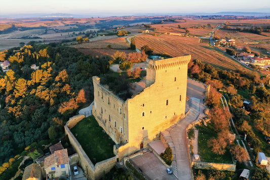 Aerial view of a castle in Rhone surrounded by greenery and fields