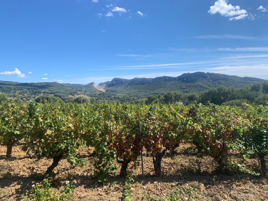 Chateau la Rouviere - Estate Pack